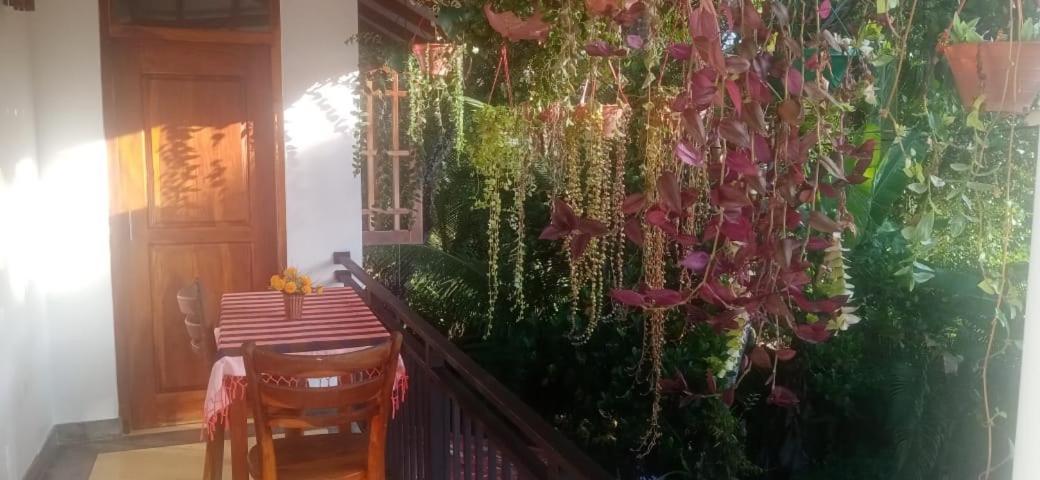 Jungle View One Bedroom Private Apartment Унаватуна Екстериор снимка