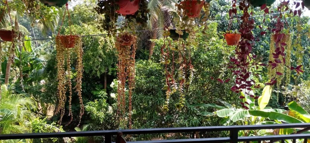 Jungle View One Bedroom Private Apartment Унаватуна Екстериор снимка