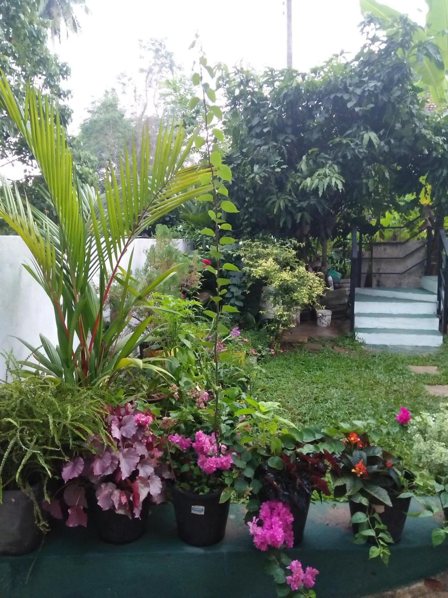 Jungle View One Bedroom Private Apartment Унаватуна Екстериор снимка